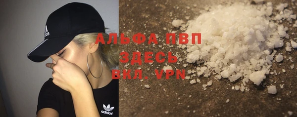 молекула духа Няндома
