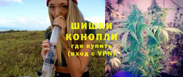 дмт Новокубанск