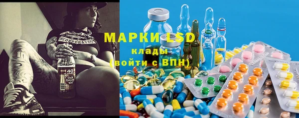 a pvp Новодвинск