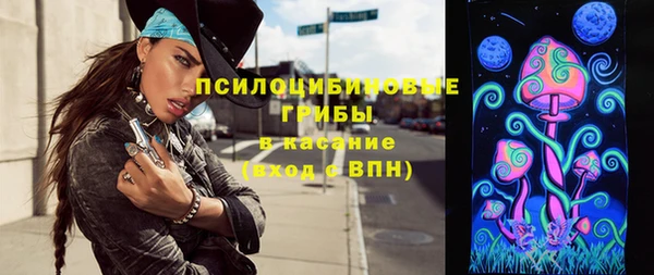 a pvp Новодвинск