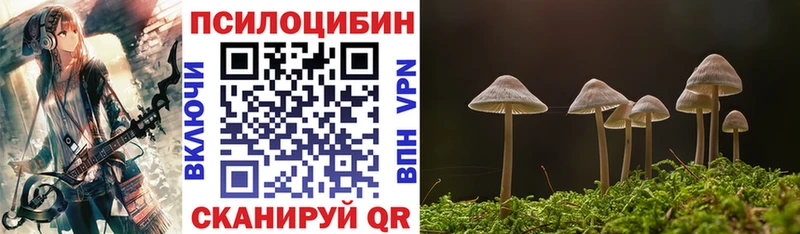 хочу Навашино Псилоцибиновые грибы Psilocybe
