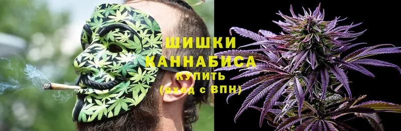 Бошки марихуана Amnesia  Навашино 